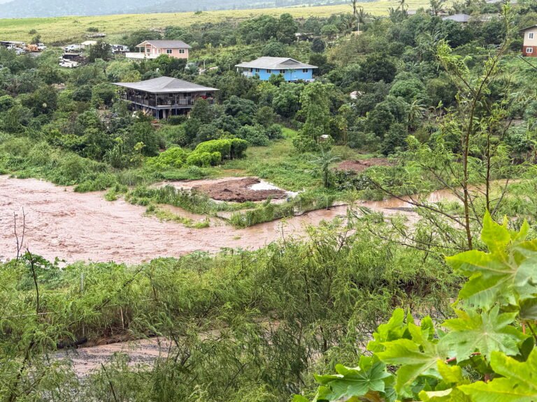 IMG_0016